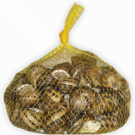 Melci vii (Helix Aspersa Muller) 1kg